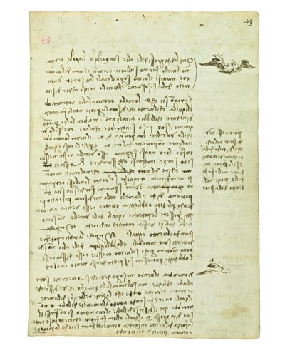 Codex sur le vol des oiseaux, Folio 13 recto - Leonardo da Vinci